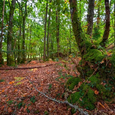 公寓 Bacelo Ribeira Sacra