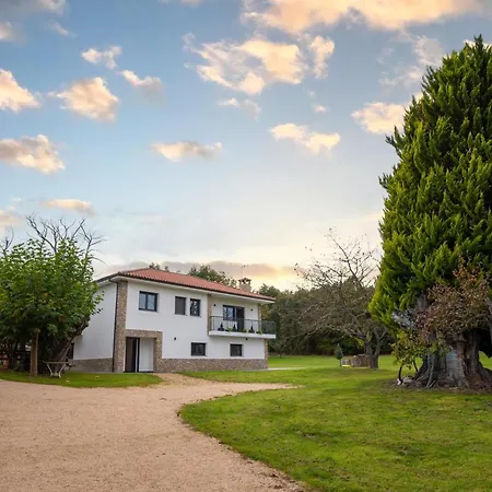 Bacelo Ribeira Sacra Sober