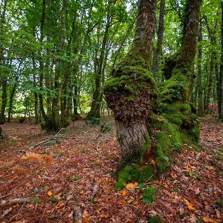 アパート Bacelo Ribeira Sacra