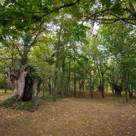 Bacelo Ribeira Sacra 公寓