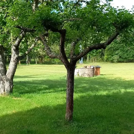 Bacelo Ribeira Sacra *