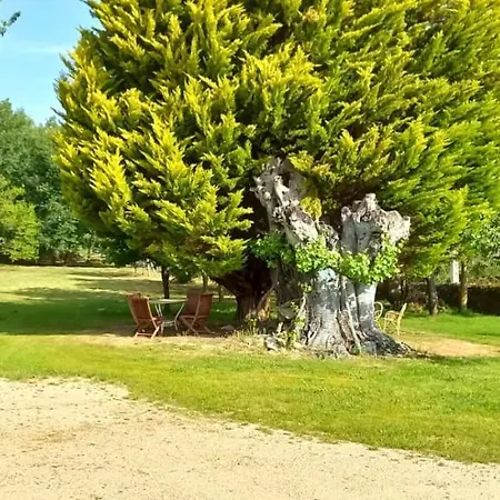 Bacelo Ribeira Sacra アパート *