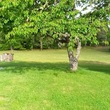 Bacelo Ribeira Sacra