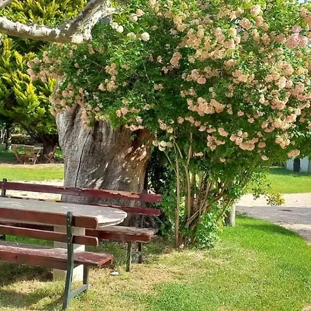 Bacelo Ribeira Sacra 索尔波