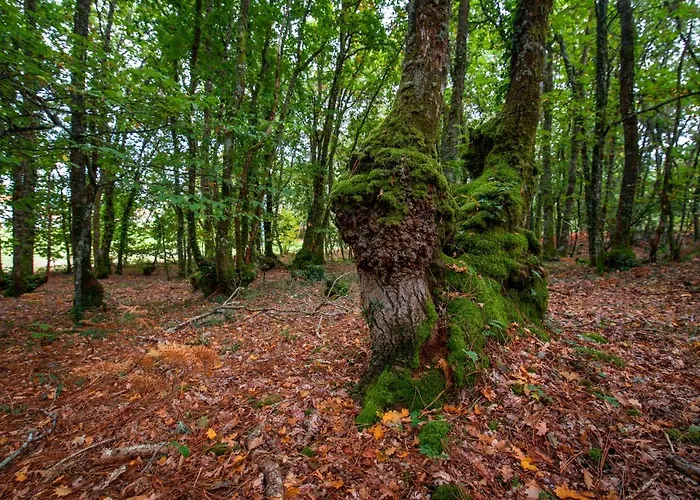 Apartmán Bacelo Ribeira Sacra