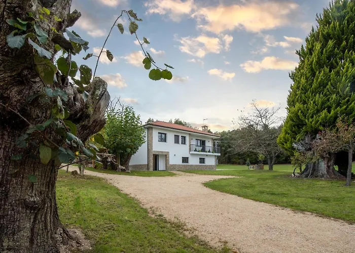 Bacelo Ribeira Sacra *