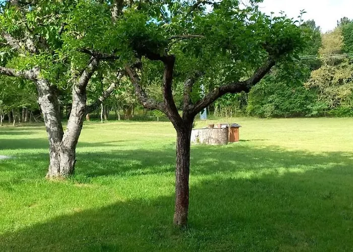 Bacelo Ribeira Sacra *