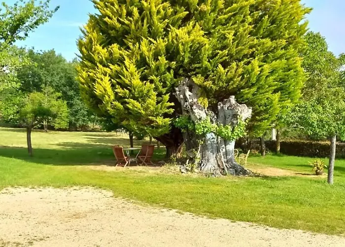 Bacelo Ribeira Sacra Apartmán *