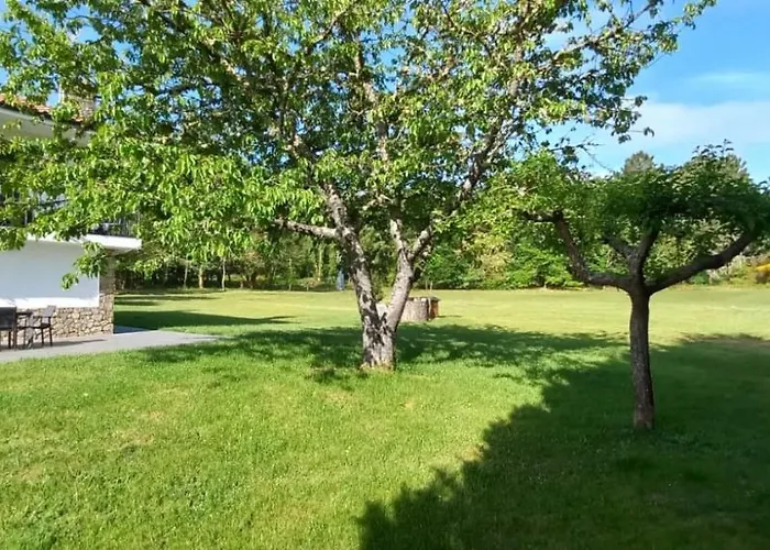 Bacelo Ribeira Sacra *