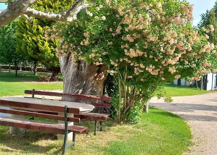 Bacelo Ribeira Sacra Sober